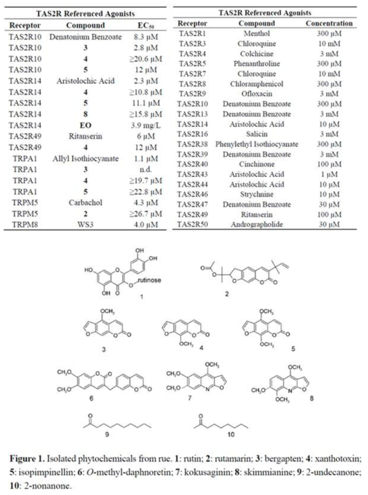 Ruta graveolens(rue) phytochemical (active compound)과 reference 물질의 TAS2R 활성 농도