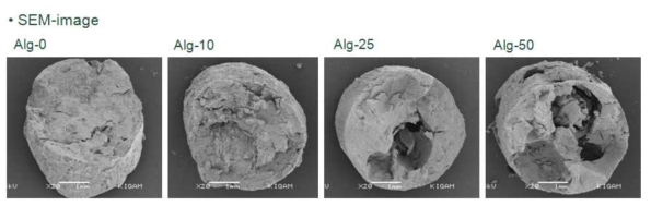 SEM images of hydrogel/LMO/Al2O3 composite according to hydrogel content