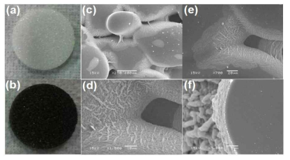 Photographs of GFFD-30(a) and GFFD-30/LMO(b), SEM images(c∼f) of GFFD-30/LMO (Li/Mn=1.0, 400℃, 16h)