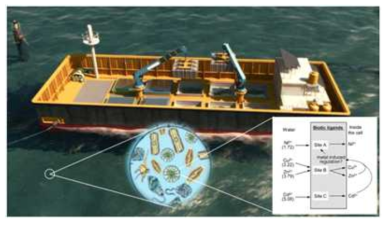 Possible effect of lithium adsorbents on marine environment