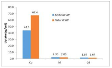인공해수와 자연해수에서의 중금속 uptake 비교