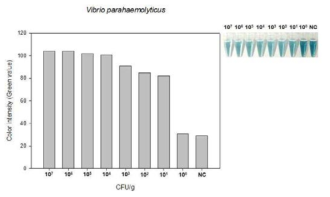 휴대용 검출 시스템을 이용한 colorimetric LAMP법의 검출한계능 확인