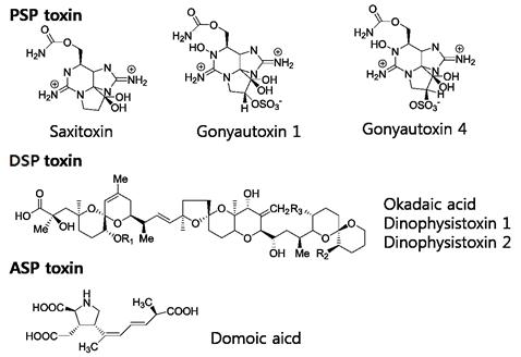 대표적 패류독소의 구조식
