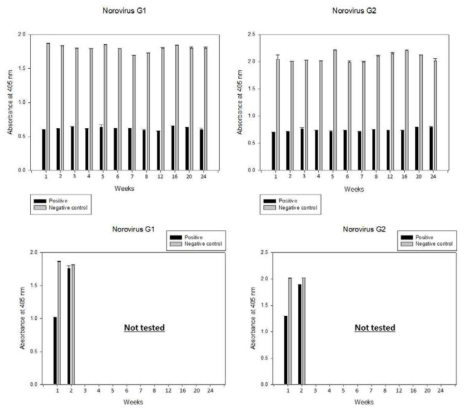 노로바이러스 GⅠ 및 GⅡ 검출용 colorimetric HDA법에 사용되는 시약의 냉장(위)과 실온(아래)에서의 안정성 확인