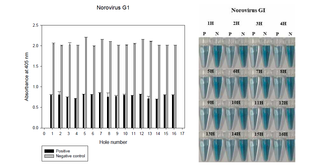 간이 고온반응기를 이용한 노로바이러스 GⅠ 검출용 colorimetric HDA법의 평가