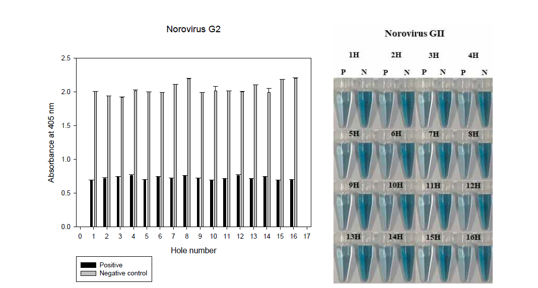 간이 고온반응기를 이용한 노로바이러스 GⅡ 검출용 colorimetric HDA법의 평가