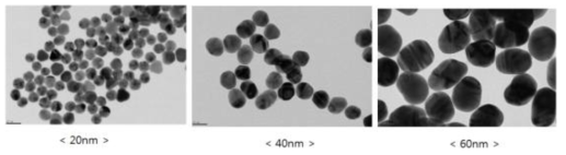 실험에 사용한 금나노입자의 TEM image