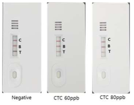 Chlrortetracycline(CTC) 반응 사진