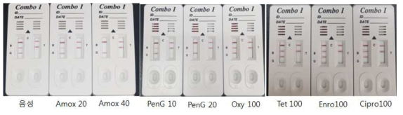 Beta-lactam 키트 교차반응 시험