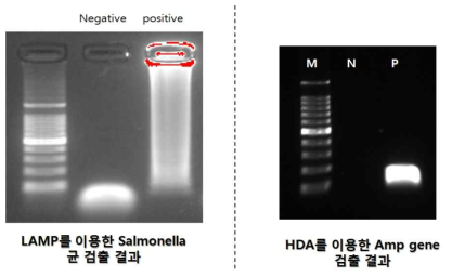 설계장비 기반 LAMP 수행 조건 및 결과 (좌:LAMP, 우: HDA)