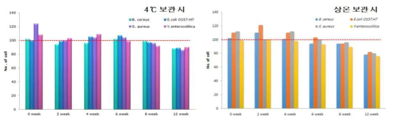 자성나노입자의 보관 실험 결과 (좌 : 4℃, 우 : 상온보관)