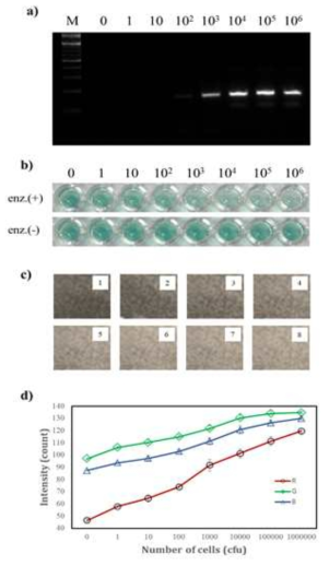 a) 전기영동이미지, b) 발색 분자진단 사진 이미지 (삼성 NX200), c) RGB analysis 결과, d) 각 색영역별 RGB분석 결과