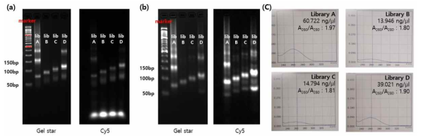 a) saxitoxin의 1st round SELEX 후 PCR을 통한 DNA증폭 결과 b) saxitoxin의 1st round SELEX product를 PCR purification 진행 결과 c) PCR purification product의 농도 측정 결과