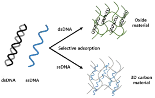 ssDNA, dsDNA 구별 흡착기술의 예시