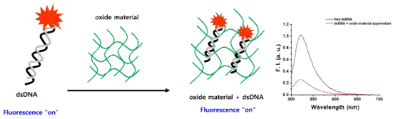 dsDNA와 oxide material의 흡착량 측정 실험 모식도 및 결과