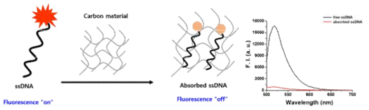 Carbon material을 이용한 ssDNA 흡착 실험 모식도 및 결과