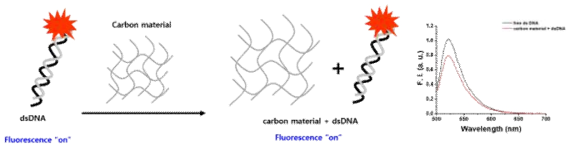 dsDNA와 carbon material의 상호 관계 분석 실험 및 결과