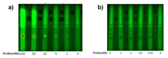 oxide material (a) 과 carbon material (b)에 대한 DNA양 cover test 결과