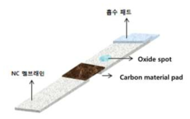 carbon material NC membrane strip 구성도