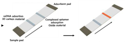 압타머 기반의 바이오센서 기술 모식도