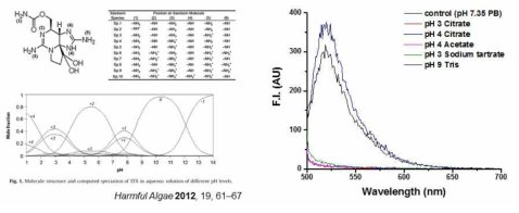 pH에 따른 STX의 구조변화 및 여러 pH에서의 GOx와 압타머, STX의 형광값