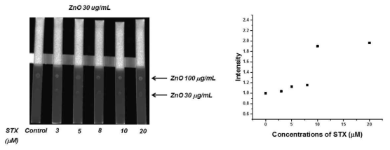 ZnO를 적용한 STX 분석 스트립타입 센서와 그를 이용한 STX 분석 결과