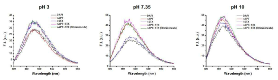 본 연구에서 개발한 aptamer를 이용한 DNA intercalating dye screening 결과