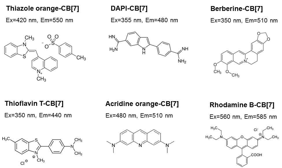 실험에 사용한 형광물질의 구조