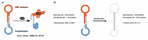 Aptamer와 DNAzymee activity를 이용한 STX 검출 DNA 디자인; a) AMP aptasensor, b) AMP aptasensor에 착안한 STX aptasensor