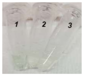 STX에 의한 DNAzyme activity 저해효과; 1) control, 2, 3) STX addition