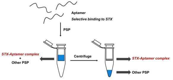 Centrifugal filtration을 통한 STX 샘플 전처리 모식도