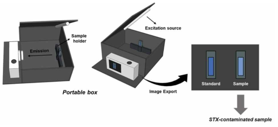 Portable box를 이용한 STX 검출 모식도