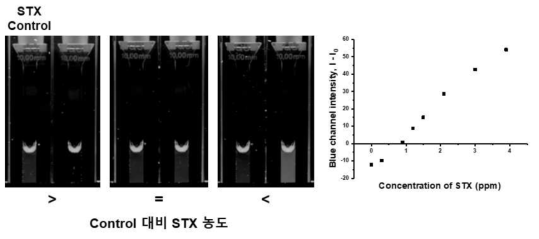 실제시료 도입 전, portable box를 이용한 검출기준 농도 대비 다양한 농도의 STX 검출