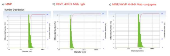 DLS측정을 통한 MNP-4H9-9 Mab conjugate 합성 여부 확인