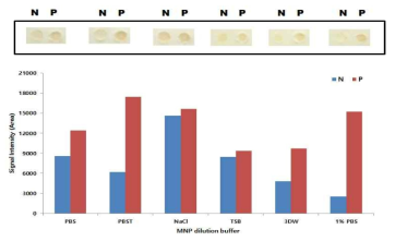 MNP-4H9-9 Mab conjugate의 희석 버퍼 선택; 0.05M PBS(pH 7.4), 0.05M PBST, 0.85% Sodium chloride, TBS(pH 7.0), 3˚DW, PBS+1% BSA