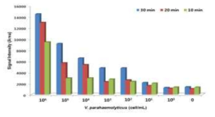 MNP-4H9-9 Mab conjugate와 V. parahaemolyticus 반응시간 결정