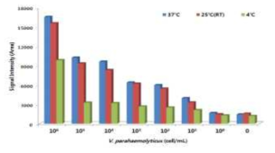 MNP-4H9-9 Mab conjugate와 V. parahaemolyticus 반응온도 결정