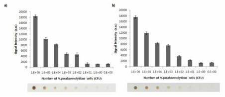 a) 해수로부터 V. parahaemolyticus에 대한 MNP/HKVP 4H9-9 Mab conjugate의 최저검출한계 확인, b) 갯벌 시료로부터 V. parahaemolyticus에 대한 MNP/HKVP 4H9-9 conjugate의 최저검출한계 확인