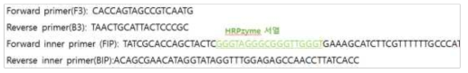 디자인 완료한 HRPzyme 포함 Primers