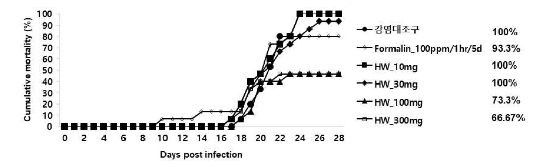 열수추출물(HW)을 2주간 경구투여한 넙치의 스쿠티카 충에 대한 누적 폐사 그래프 (1*106cells/100ul/fish)