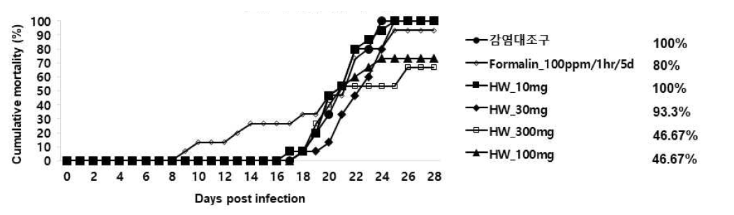 열수추출물(HW)을 2주간 경구투여한 넙치의 스쿠티카 충에 대한 누적 폐사 그래프 (5*105cells/100ul/fish)