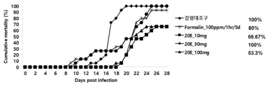 20%에탄올추출물(20E)을 2주간 경구투여한 넙치의 스쿠티카 충에 대한 누적 폐사 그래프 (5*105cells/100ul/fish)