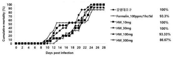 열수추출물(HW)을 4주간 경구투여한 넙치의 스쿠티카 충에 대한 누적 폐사 그래프 (1*106cells/100ul/fish)