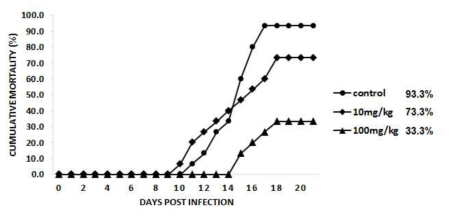 20.100.30 추출물을 10, 100mg/kg b.w./day로 2주간 투여한 넙치에 M. avidus YS2를 인위 감염시킨 후의 누적폐사율 그래프
