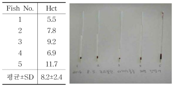 마이크로코타일 자연감염어의 헤마토크리트