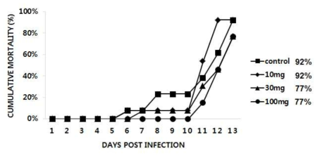 옻나무 20.100.30 조건 추출물 13일간 경구투여한 조피볼락의항 마이크로코타일 충에 대한 누적 폐사 그래프