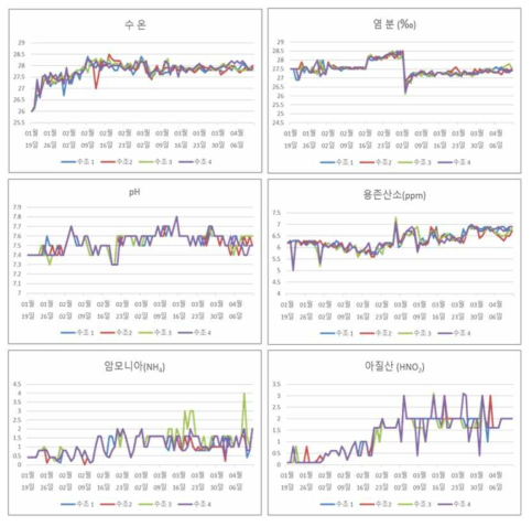 현장규모 사육기간 동안의 수온, 염분, pH, DO, 암모니아, 아질산 측정 결과