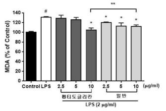 면역유도 홍거시와 일반 홍거시의 MDA 억제 활성 검토