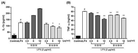 지렁이와 일반 청거시(갯지렁이) 추출물의 항염증 인자 억제 효율 검토
