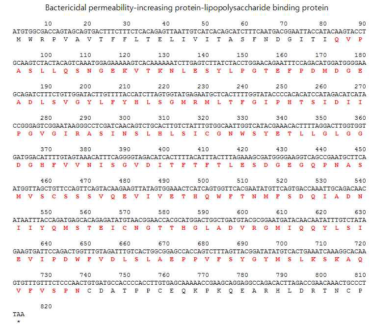 Bactericidal permeability-increasing protein-lipopolysaccharide binding protein의 전장